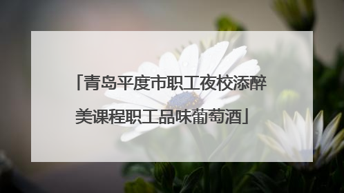青岛平度市职工夜校添醉美课程职工品味葡萄酒