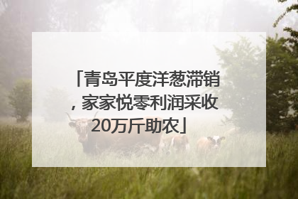 青岛平度洋葱滞销，家家悦零利润采收20万斤助农