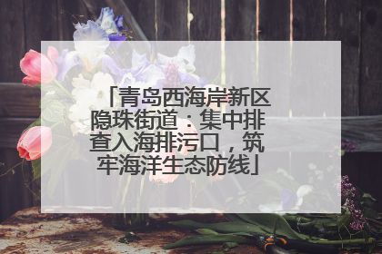 青岛西海岸新区隐珠街道：集中排查入海排污口，筑牢海洋生态防线