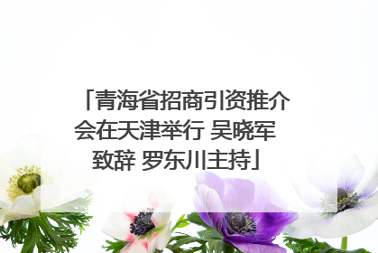 青海省招商引资推介会在天津举行 吴晓军致辞 罗东川主持