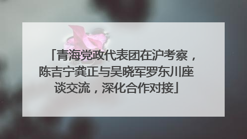 青海党政代表团在沪考察，陈吉宁龚正与吴晓军罗东川座谈交流，深化合作对接