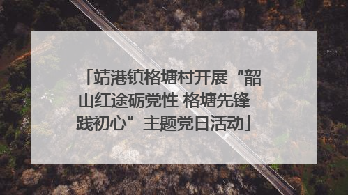靖港镇格塘村开展“韶山红途砺党性 格塘先锋践初心”主题党日活动