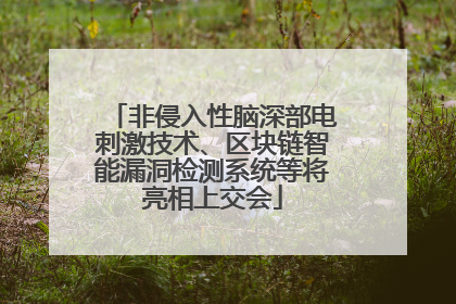 非侵入性脑深部电刺激技术、区块链智能漏洞检测系统等将亮相上交会