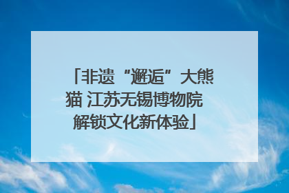 非遗“邂逅”大熊猫 江苏无锡博物院解锁文化新体验