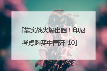 靠实战火爆出圈！印尼考虑购买中国歼-10