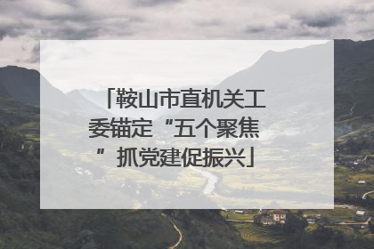 鞍山市直机关工委锚定“五个聚焦”抓党建促振兴