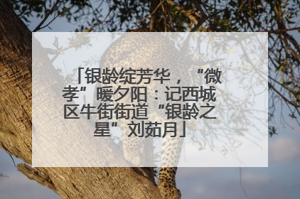 银龄绽芳华，“微孝”暖夕阳：记西城区牛街街道“银龄之星”刘茹月