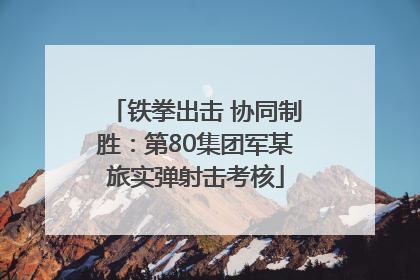 铁拳出击 协同制胜：第80集团军某旅实弹射击考核