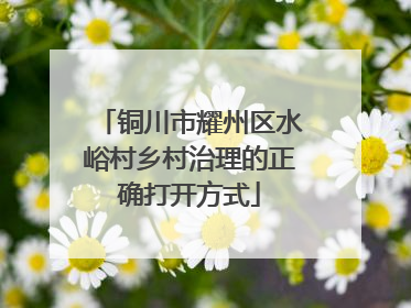 铜川市耀州区水峪村乡村治理的正确打开方式