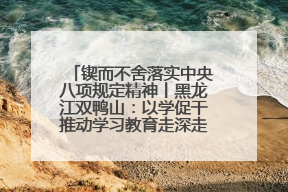 锲而不舍落实中央八项规定精神丨黑龙江双鸭山：以学促干推动学习教育走深走实 从小事入手写好“民生答卷”