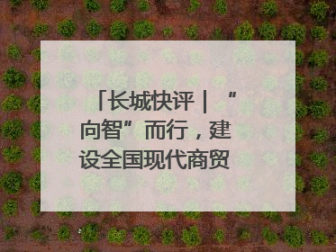 长城快评｜“向智”而行，建设全国现代商贸物流重要基地
