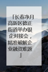 长春净月高新区德正街道举办银企对接会，精准破解企业融资难题