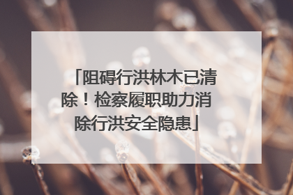 阻碍行洪林木已清除！检察履职助力消除行洪安全隐患