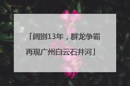 阔别13年，群龙争霸再现广州白云石井河