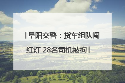 阜阳交警：货车组队闯红灯 28名司机被拘