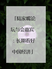 陆家嘴论坛与会嘉宾：长期看好中国经济