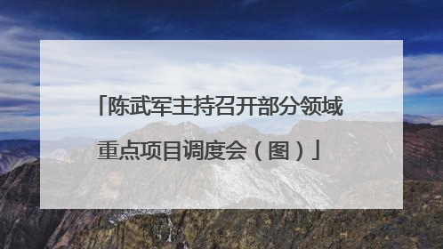 陈武军主持召开部分领域重点项目调度会（图）