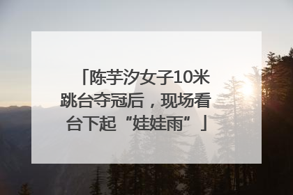 陈芋汐女子10米跳台夺冠后，现场看台下起“娃娃雨”