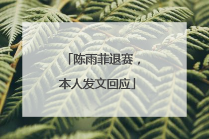 陈雨菲退赛，本人发文回应