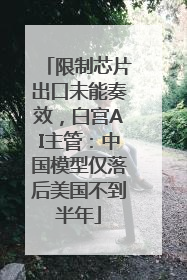 限制芯片出口未能奏效，白宫AI主管：中国模型仅落后美国不到半年