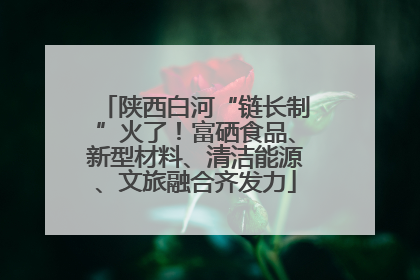 陕西白河“链长制”火了！富硒食品、新型材料、清洁能源、文旅融合齐发力