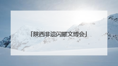 陕西非遗闪耀文博会