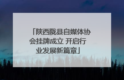 陕西陇县自媒体协会挂牌成立 开启行业发展新篇章