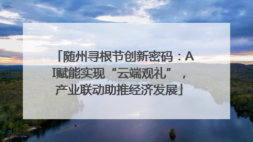 随州寻根节创新密码：AI赋能实现“云端观礼”，产业联动助推经济发展