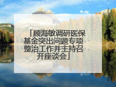 顾海敏调研医保基金突出问题专项整治工作并主持召开座谈会