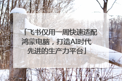 飞书仅用一周快速适配鸿蒙电脑，打造AI时代先进的生产力平台