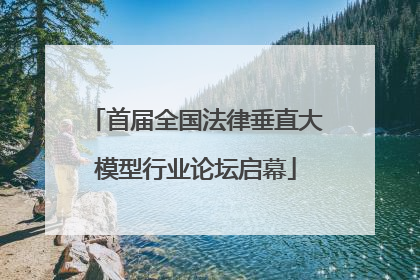 首届全国法律垂直大模型行业论坛启幕