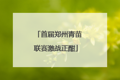 首届郑州青苗联赛激战正酣