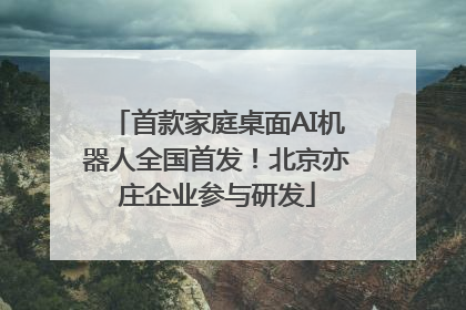 首款家庭桌面AI机器人全国首发！北京亦庄企业参与研发
