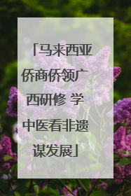 马来西亚侨商侨领广西研修 学中医看非遗谋发展