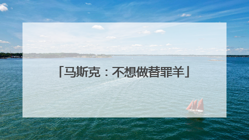 马斯克：不想做替罪羊