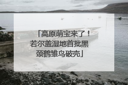 高原萌宝来了！若尔盖湿地首批黑颈鹤雏鸟破壳