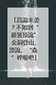 高温来袭？不如到“避暑顶流”金洞登山、漂流、“森”呼吸吧