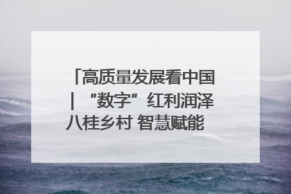 高质量发展看中国｜“数字”红利润泽八桂乡村 智慧赋能绘就振兴画卷