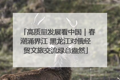 高质量发展看中国｜春潮涌界江 黑龙江对俄经贸文旅交流绿意盎然