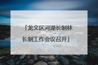 龙文区河湖长制林长制工作会议召开