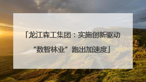 龙江森工集团：实施创新驱动 “数智林业”跑出加速度