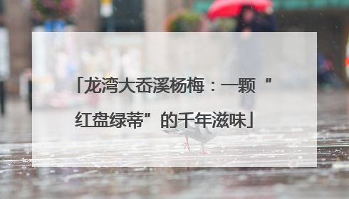 龙湾大岙溪杨梅：一颗“红盘绿蒂”的千年滋味