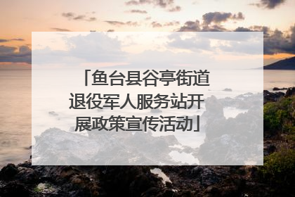 鱼台县谷亭街道退役军人服务站开展政策宣传活动