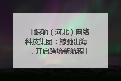 鲸驰（河北）网络科技集团：鲸驰出海，开启跨境新航程
