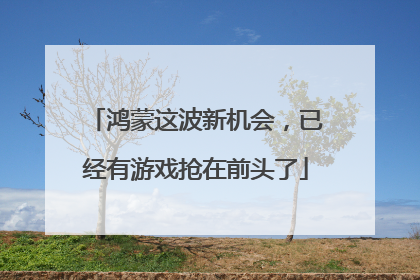 鸿蒙这波新机会，已经有游戏抢在前头了