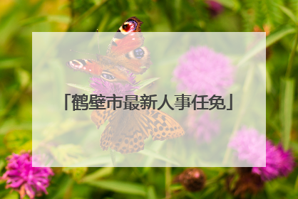 鹤壁市最新人事任免