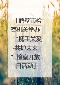 鹤壁市检察机关举办“携手关爱·共护未来”检察开放日活动