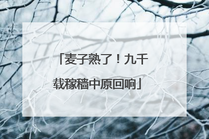 麦子熟了！九千载稼穑中原回响