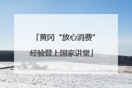 黄冈“放心消费”经验登上国家讲堂