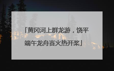 黄冈河上群龙游，饶平端午龙舟赛火热开桨